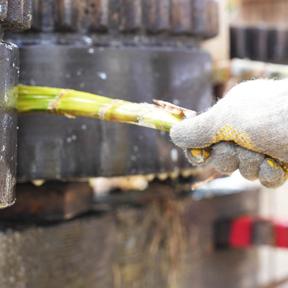 製糖へのこだわり画像