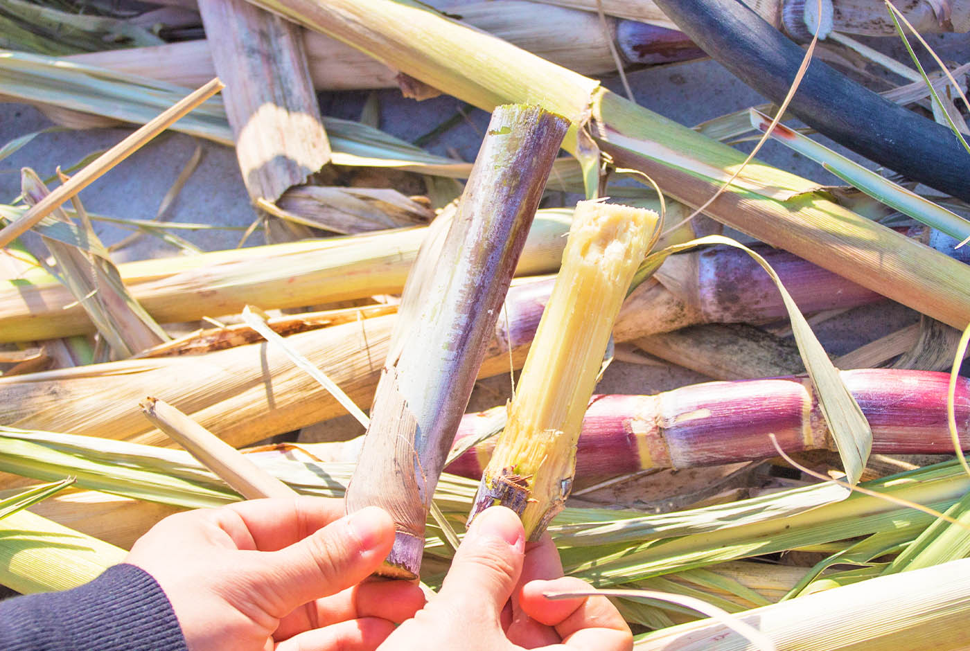 製糖へのこだわり画像